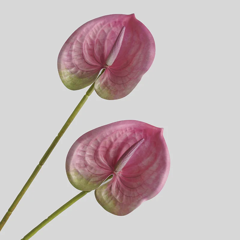 Simulierte Blume Wohnzimmer Ha – 3D Printing Ai Bewertung und Preis